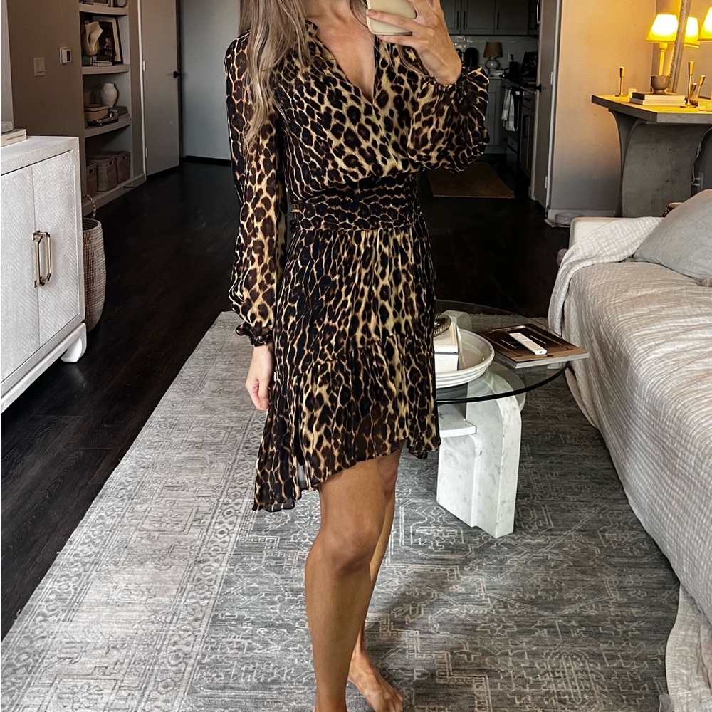 A.L.C. Brown Leopard Long Sleeve Dress